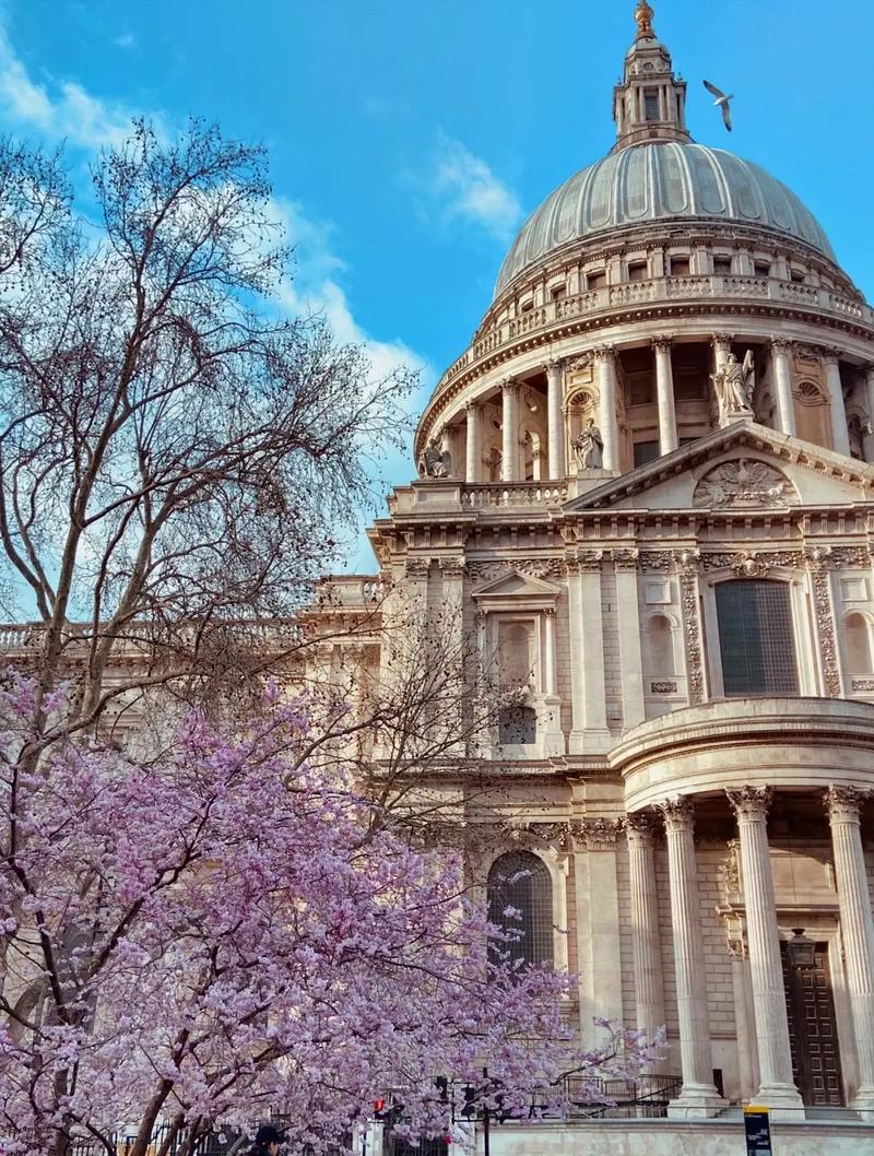 宾夕法尼亚州立大学